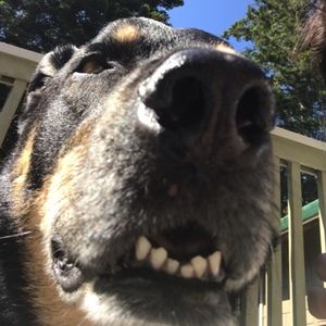 Meet your Posher, Leah